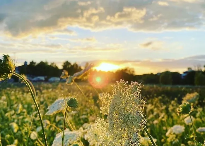 Mon Bijou _ Og_fewo * 고렌레빈